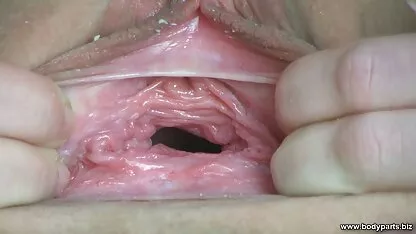 Cerrar Hasta Coño videos x petardas