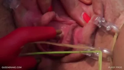 Coño prod - queensnake.Com - queensect.Com  videos xxx anal caseros