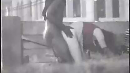 Hooker perrito decorado en detroit parque lesbianas seco