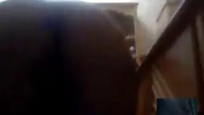 Desde Arabia Saudita  cuños peludos