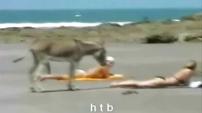 Divertido.4.H. T. B. videos xxx de sexo duro