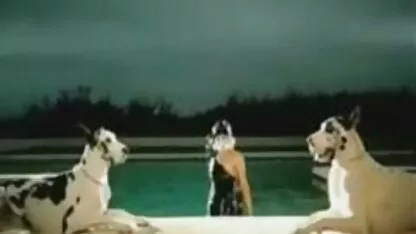 Lady gaga bj comp. videos xxx follando duro