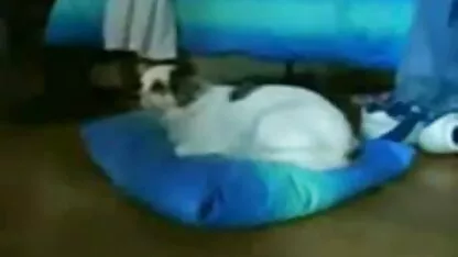 Discapacitados sexo en silla de ruedas snahbrandy videos por no maduras