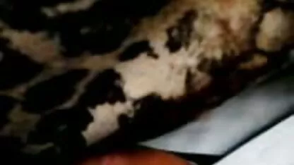 Prensa autobús vergas videos inceso