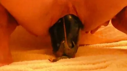 Amateur berenjena gigante en el coño calvo videos x maduras peludas